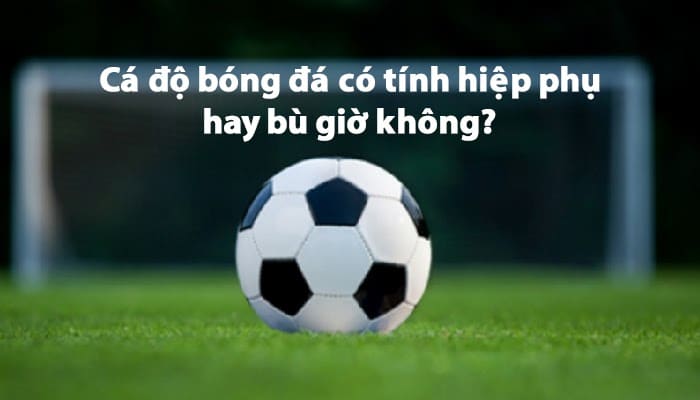 Cá độ bóng đá có tính hiệp phụ không 3